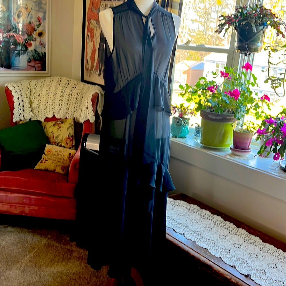 Sheer Black Dress
